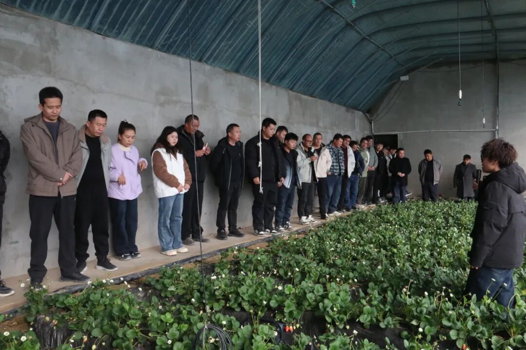 四团赴兄弟团场取经问道  以学促干擘画农业现代化新图景