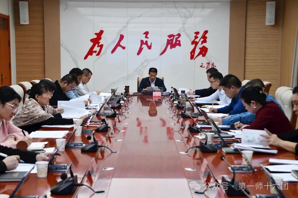 十一届团镇党委常委会召开会议