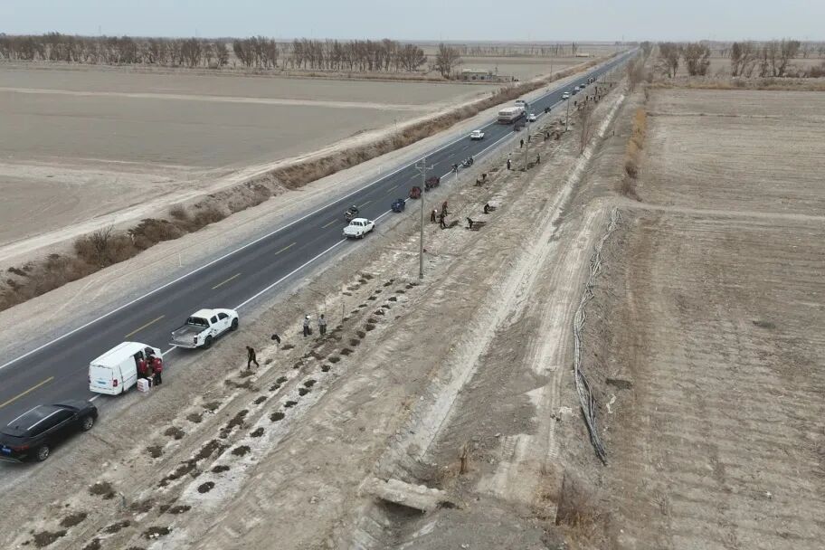 植此青绿 共筑兵地生态屏障 一团开展春季义务植树活动