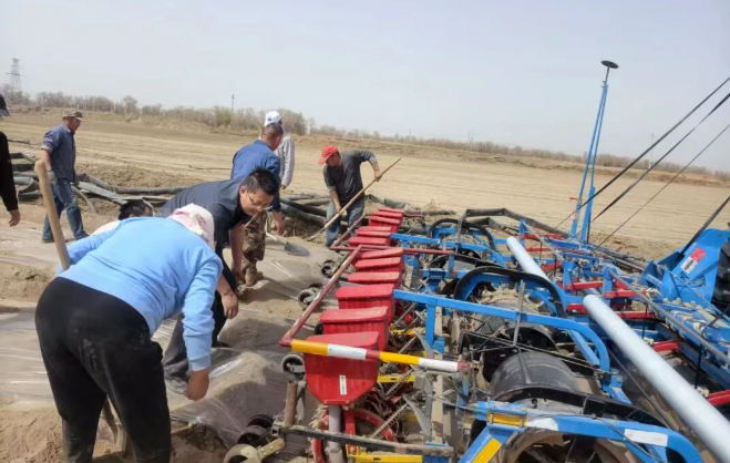 深耕田间办实事 服务春耕保丰收 —十二团 22 连扎实推进棉花春播工作